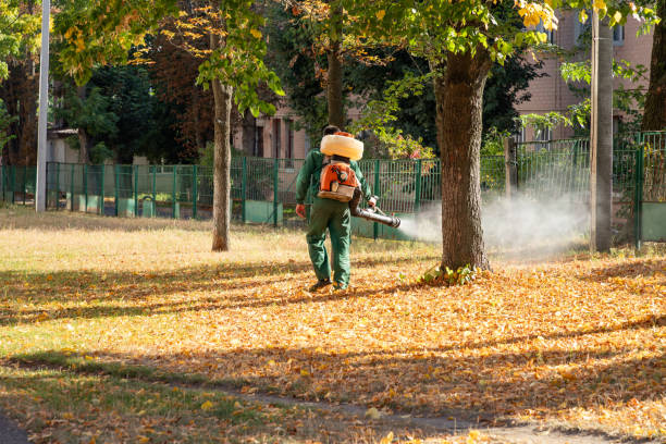 Best Rodent Control Near Me  in Downey, CA